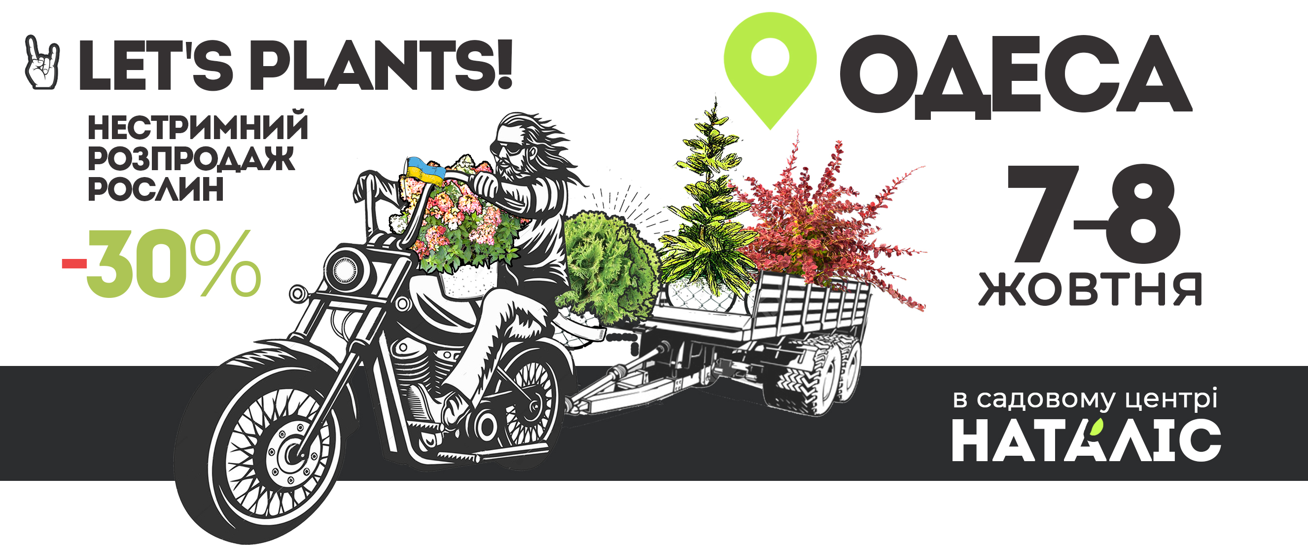 Let's plants!